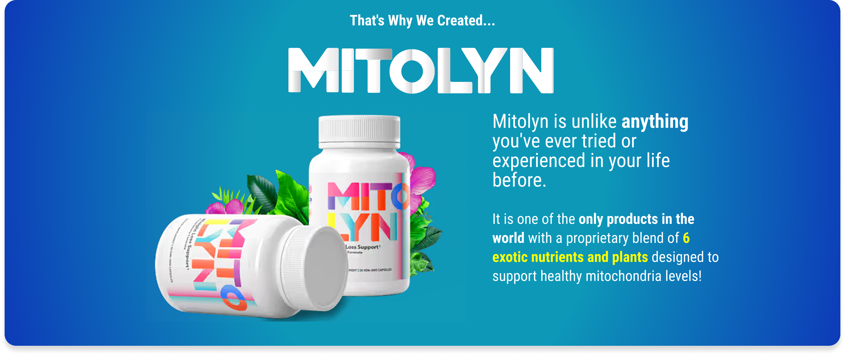 Mitolyn : Cellular Energy Booster or Marketing Hype?