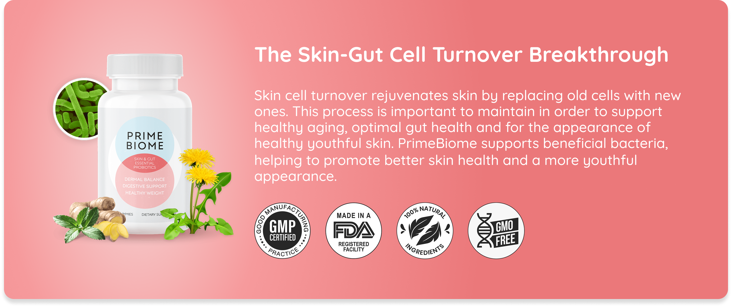 PrimeBiome : Gut–Skin Glow or Just Another Gummy?